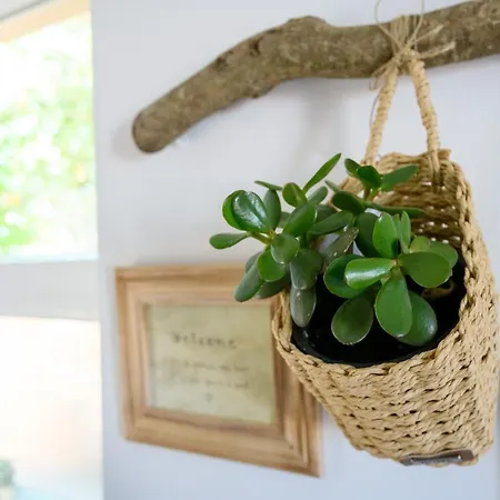 Sunny Getaway Dubrovnik