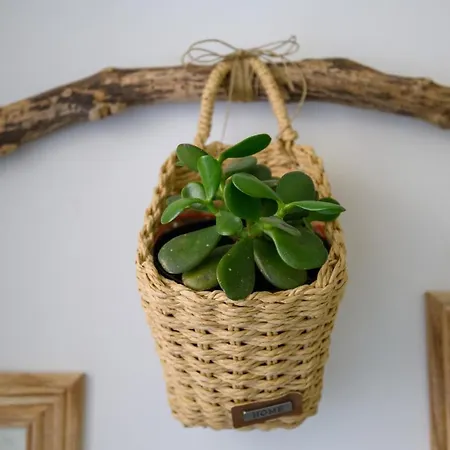Sunny Getaway Apartamento